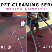 West Hartford Carpet Cleaners