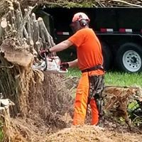 South Florida Tree Service