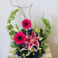Gallery thumbnail