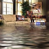 Nashville Water Damage Restoration and Mold Remediation