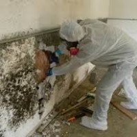 Nashville Water Damage Restoration and Mold Remediation