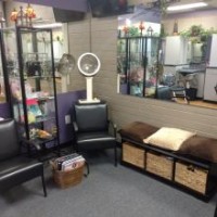 Yvonne's Doll House Full Service Salon & Day Spa