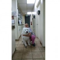 Glen Burnie Animal Hospital