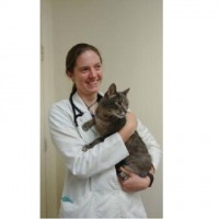 Glen Burnie Animal Hospital