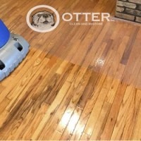 Otter Clean and Restore