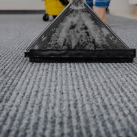 Green Choice Carpet Cleaning NYC