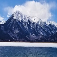 Gallery thumbnail