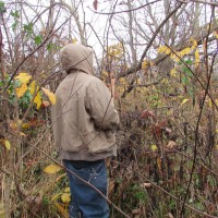 Muskingum Valley Woodland Services