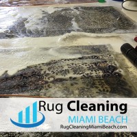 Rug Cleaning Miami Beach Pros