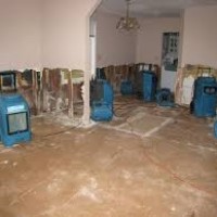 Stormborn Water Damage Restoration