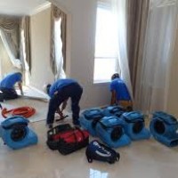 Stormborn Water Damage Restoration