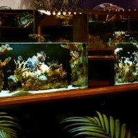 Aquatech Aquarium Service