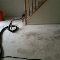 Carpet Cleaners San Jose