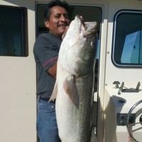 NYC Sportfishing Charters