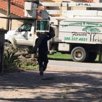 Florida Heights Tree Services LLC