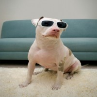 Gallery thumbnail