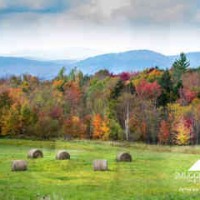 Vermont.com