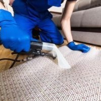 Carpet Cleaning Deluxe of Plantation