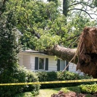 Colleyville Stump Grinding