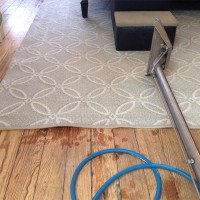 Hippo Carpet Cleaning of Perry Hall