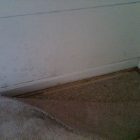 Mold Removal Maryland