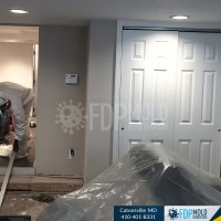 FDP Mold Remediation of Catonsville