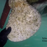 Island Hull Cleaning