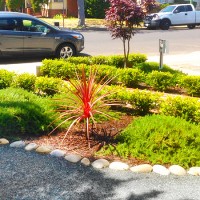 Bay Area Landscapes LLC