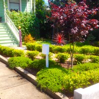 Bay Area Landscapes LLC