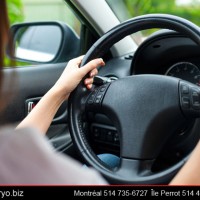 Ecole De Conduite Aryo Driving School