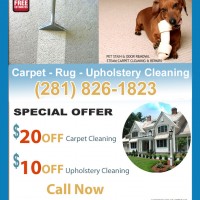 Carpet Cleaner Kingwood