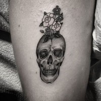 Gallery thumbnail