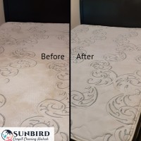 Sunbird Carpet Cleaning Hialeah