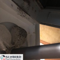 Sunbird Carpet Cleaning Hialeah