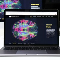 Gallery thumbnail