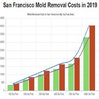 All US Mold Removal San Francisco CA - Mold Remediation Services