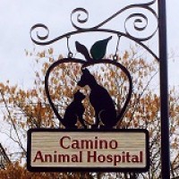 Camino Animal Hospital