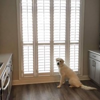 Castleberry Shutters Inc