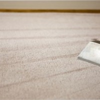 Magic Steam Green Carpet Cleaning Palos Verdes Estates