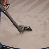 Magic Steam Green Carpet Cleaning Glilbert