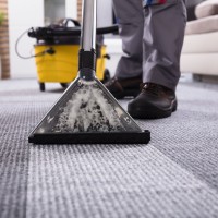 Broward Carpet Cleaning Services