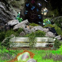 Gallery thumbnail
