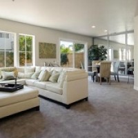 Laguna Niguel Carpet Cleaning Service