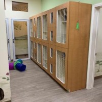 Nourish Pet Care & Cat Boarding - Memorial