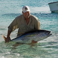 Charters Marathon Marina Sea Dog Fishing