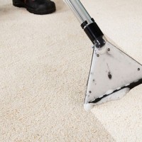 Middletown Carpet Cleaners by AmeriBest