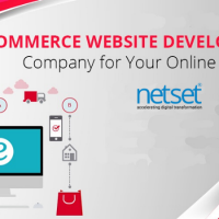 Ecommerce website Development Company - Netset Software Solutions