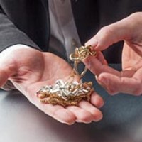 Gallery thumbnail