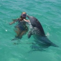 Dolphin & Snorkeling Tours Panama City Beach