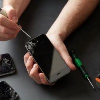 Gallery thumbnail